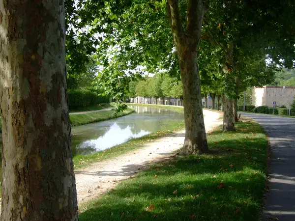 Abri Piscine Sur Mesure Installation abri de piscine Saint-Amand-Montrond